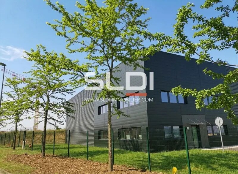 Boucle De La Ramée, Saint-Quentin-Fallavier à louer Photo du bâtiment- Image 1 de 10