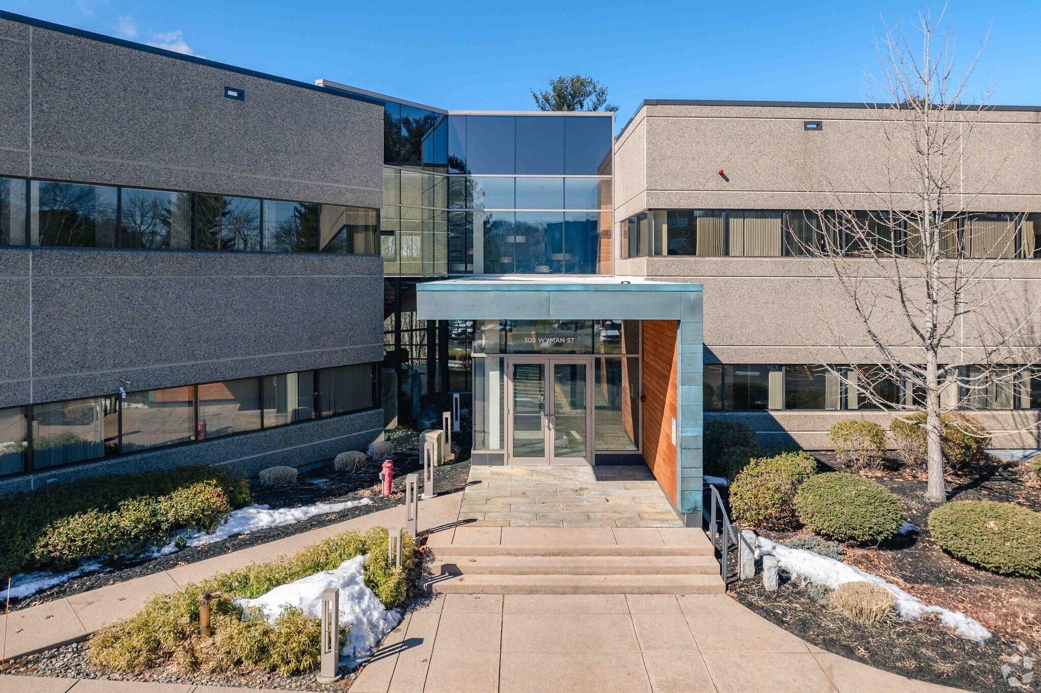 303 Wyman St, Waltham, MA for lease Primary Photo- Image 1 of 8