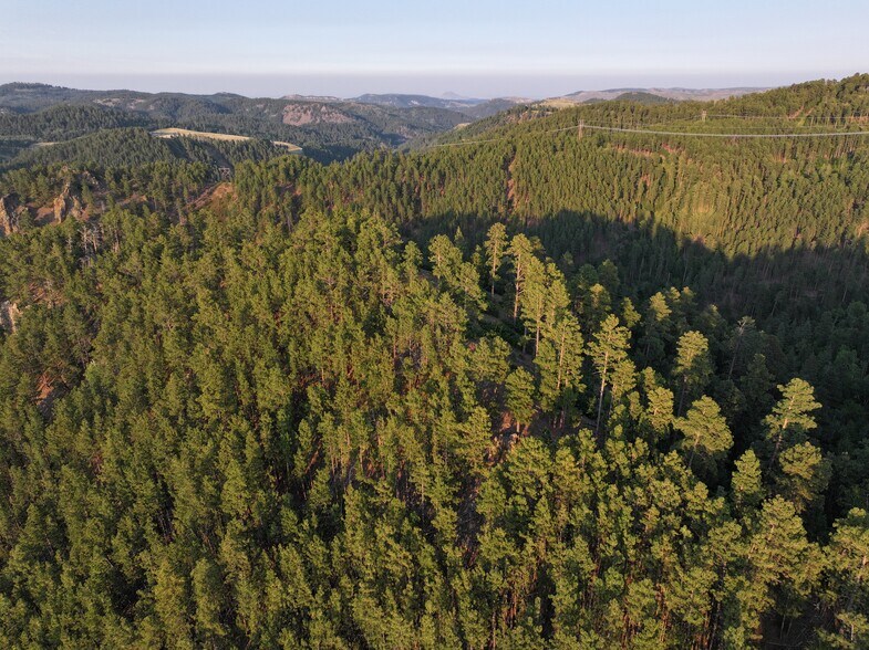 TBD Cutting Mine Rd., Lead, SD for sale - Primary Photo - Image 3 of 6