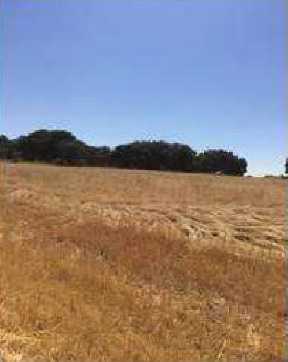 Plus de détails pour Terrain à vendre