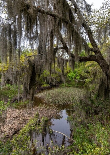 1711 Salem Rd, Beaufort, SC for sale - Other - Image 3 of 15