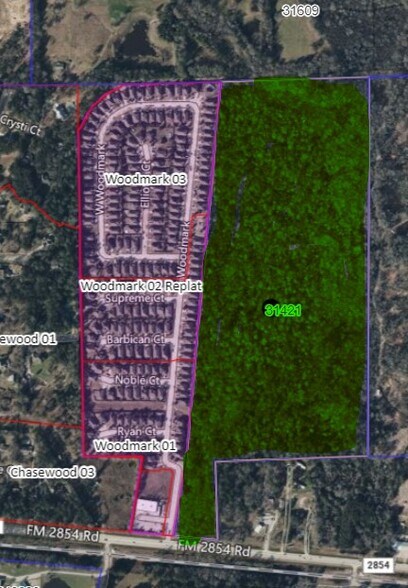 0 FM 2854, Conroe, TX à vendre - Plan de site - Image 3 de 14