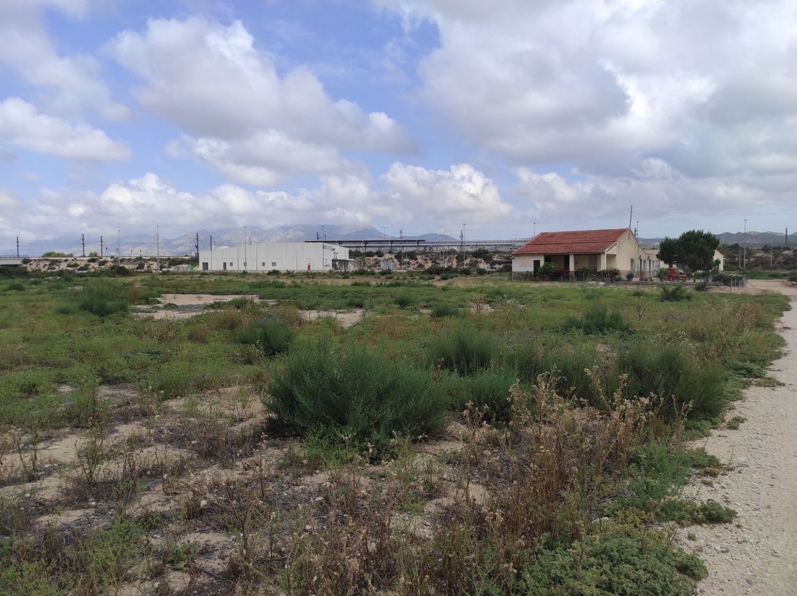 Land in Elche for sale Building Photo- Image 1 of 22