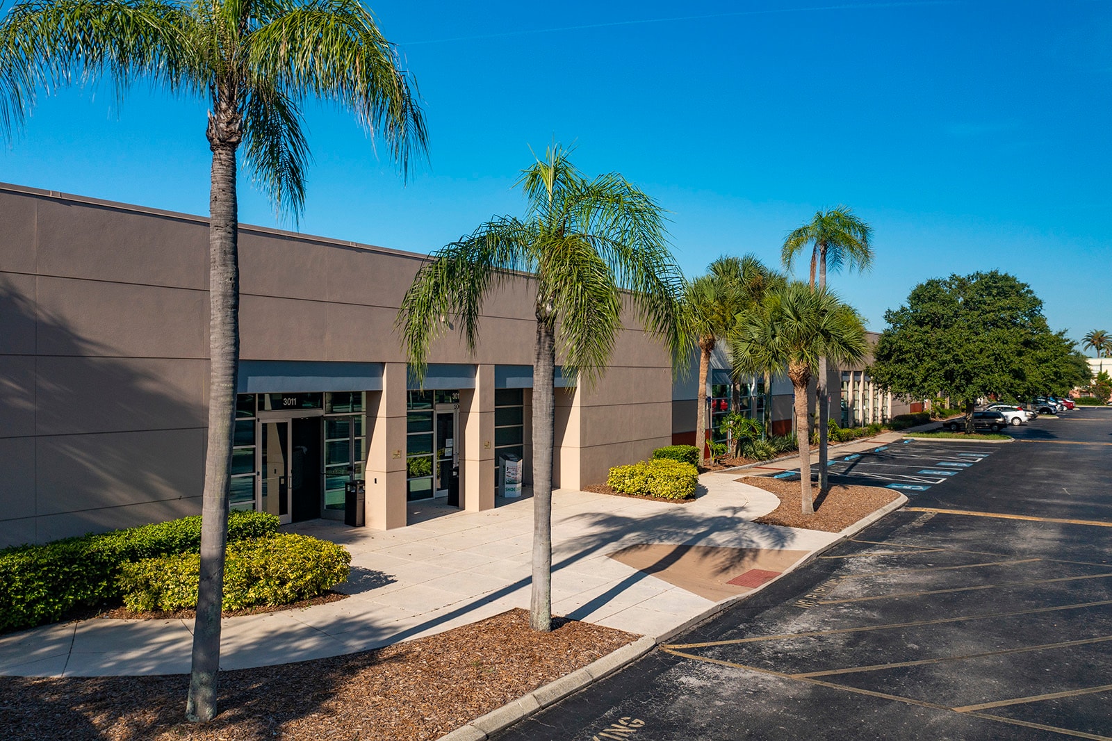 3011 University Center Dr, Tampa, FL for lease Primary Photo- Image 1 of 7