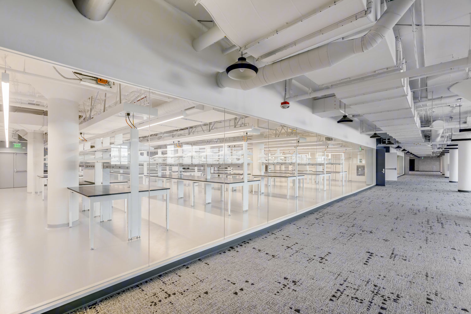 3100 San Pablo Ave, Berkeley, CA à louer Photo intérieure- Image 1 de 12