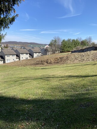 Plus de détails pour 1008 Chestnut Ridge Rd, Morgantown, WV - Terrain à vendre