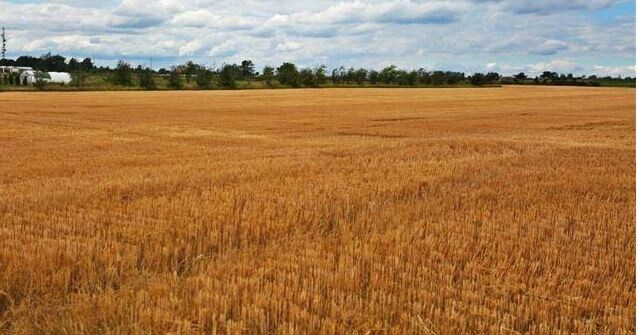 5245 Fly Rd, Beamsville, ON à vendre Photo principale- Image 1 de 1