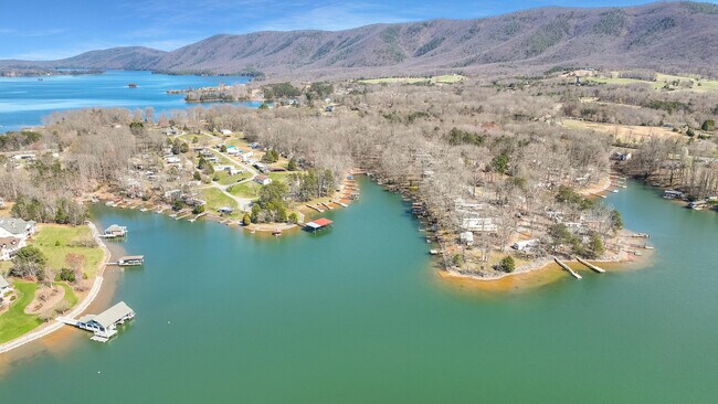 Plus de détails pour 5625 Smith Mountain Rd, Penhook, VA - Terrain à vendre