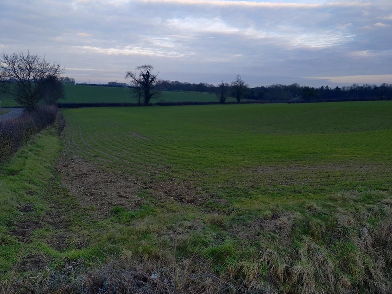 Mather Ln, Needham for sale - Primary Photo - Image 1 of 3