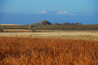 Plus de détails pour 6825 S County Road 5, Fort Collins, CO - Terrain à vendre