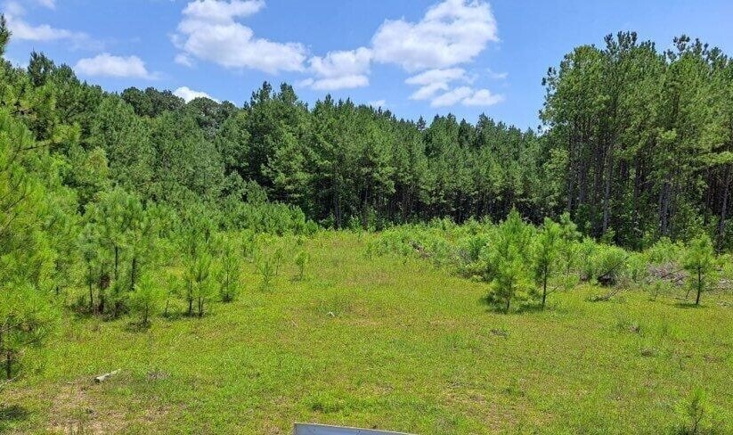 00 US 49 Hwy, Mendenhall, MS à vendre - Autre - Image 2 de 2