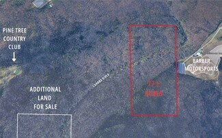 Plus de détails pour 1123 Rex Lake Rd, Leeds, AL - Terrain à vendre