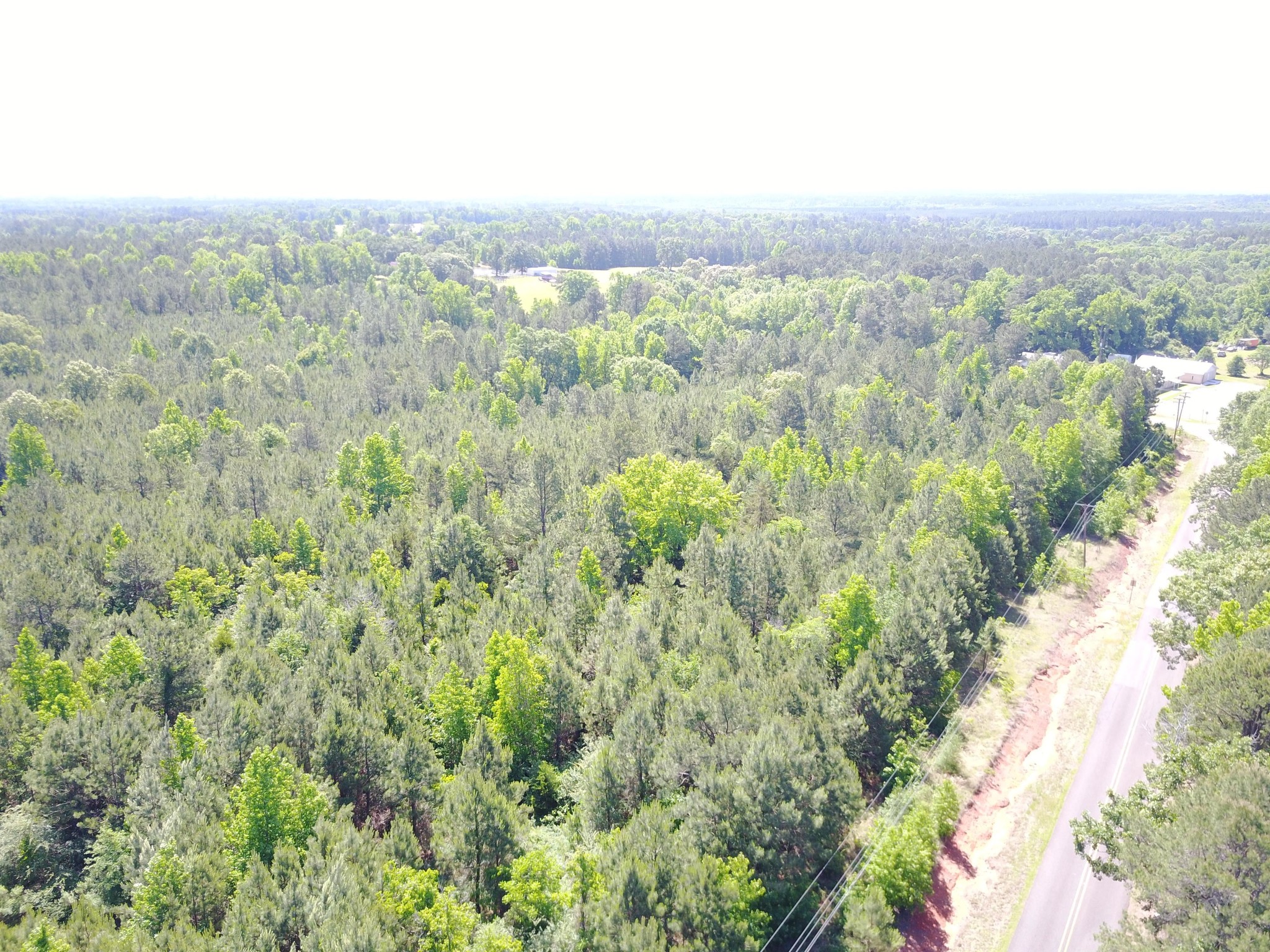 Highway 168, Rodessa, LA for sale Primary Photo- Image 1 of 1