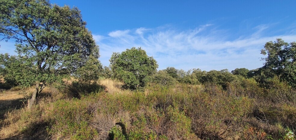 Terrain dans Hormigos, Toledo à vendre - Photo du bâtiment - Image 2 de 18