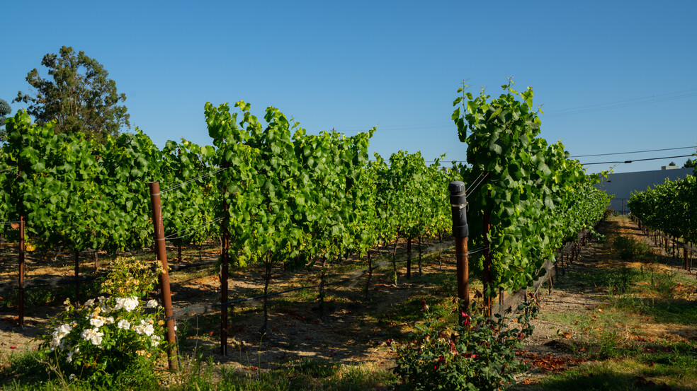 1916 N Kelly Rd, Napa, CA à vendre - Photo du bâtiment - Image 2 de 30