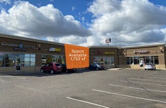 Plus de détails pour 11008 61st St NE, Albertville, MN - Commerce de détail à louer