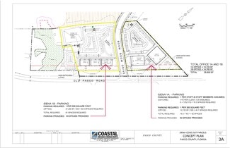 Plus de détails pour 6225 Old Pasco Rd, Wesley Chapel, FL - Terrain à vendre