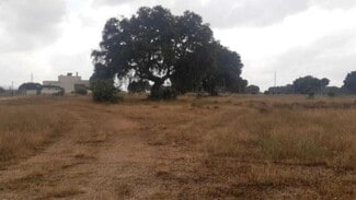 More details for Plaza del Amor, 4, Carrascal de Barregas - Land for Lease