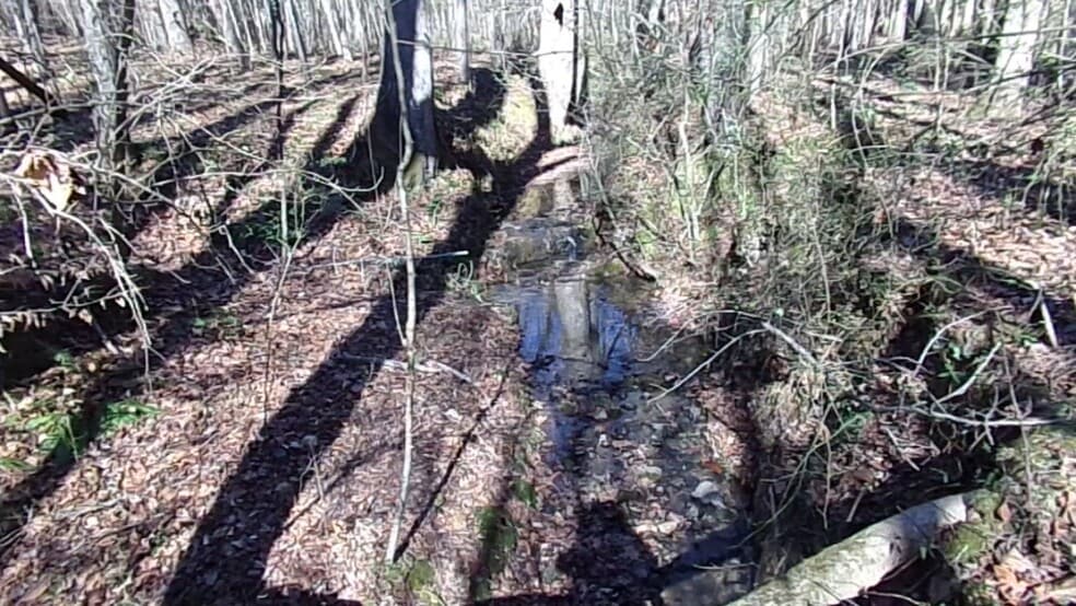 41 ACRES Hwy 55 Hwy, Clover, SC for sale - Commercial Listing Video - Image 2 of 11