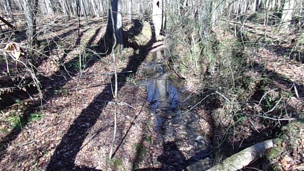 41 ACRES Hwy 55 Hwy, Clover, SC à vendre - Vidéo sur l’inscription commerciale - Image 2 de 11