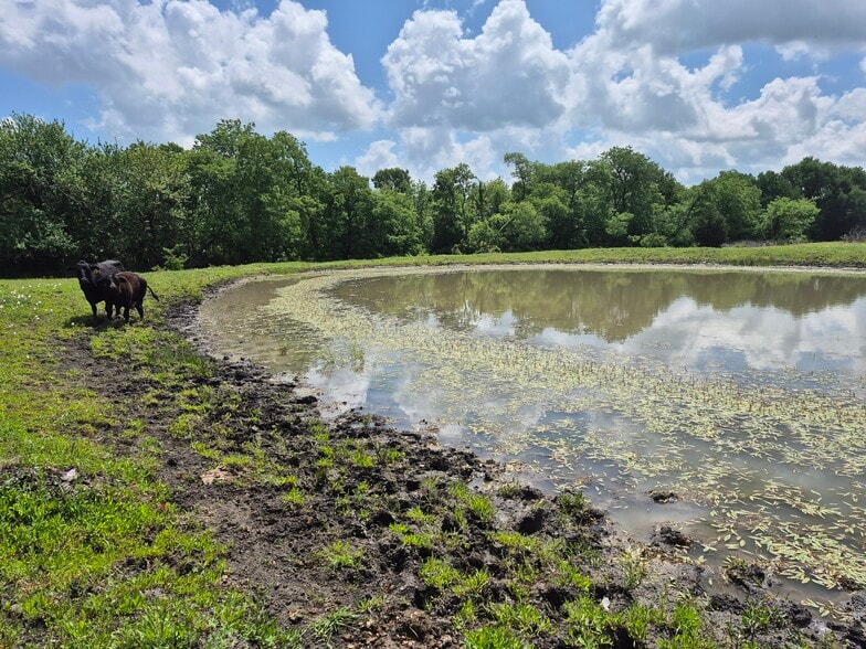 9561 N TX-50 Hwy, Ladonia, TX for sale - Building Photo - Image 3 of 38