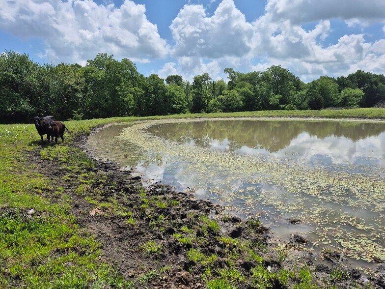 9561 N TX-50 Hwy, Ladonia, TX à vendre - Photo du bâtiment - Image 3 de 38