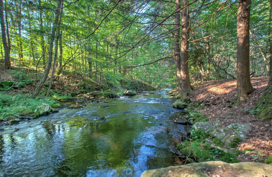 167 Route 191, Cresco, PA à louer - Photo du bâtiment - Image 3 de 61