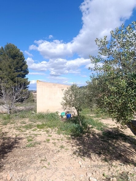 Land in Cehegín, Murcia for sale - Building Photo - Image 1 of 13