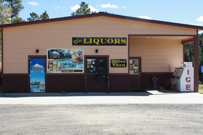More details for 17218 Highway 119, Black Hawk, CO - Retail for Lease