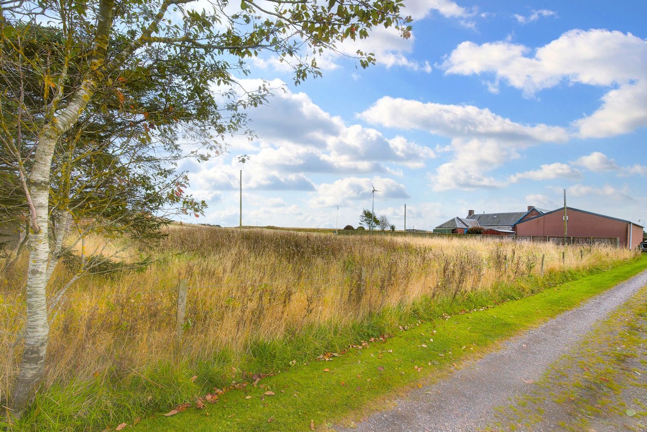 North Of Ethie Green, Arbroath for sale Primary Photo- Image 1 of 4