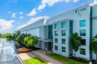 Plus de détails pour 1290 Remington Blvd, Bolingbrook, IL - Industriel à louer