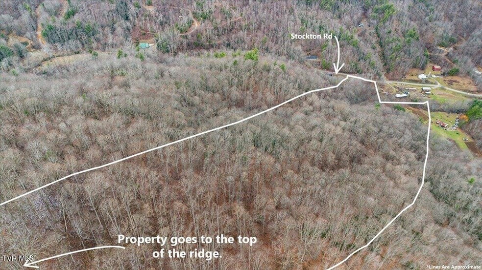 TBD Stockton Rd rd, Flag Pond, TN for sale - Aerial - Image 2 of 14