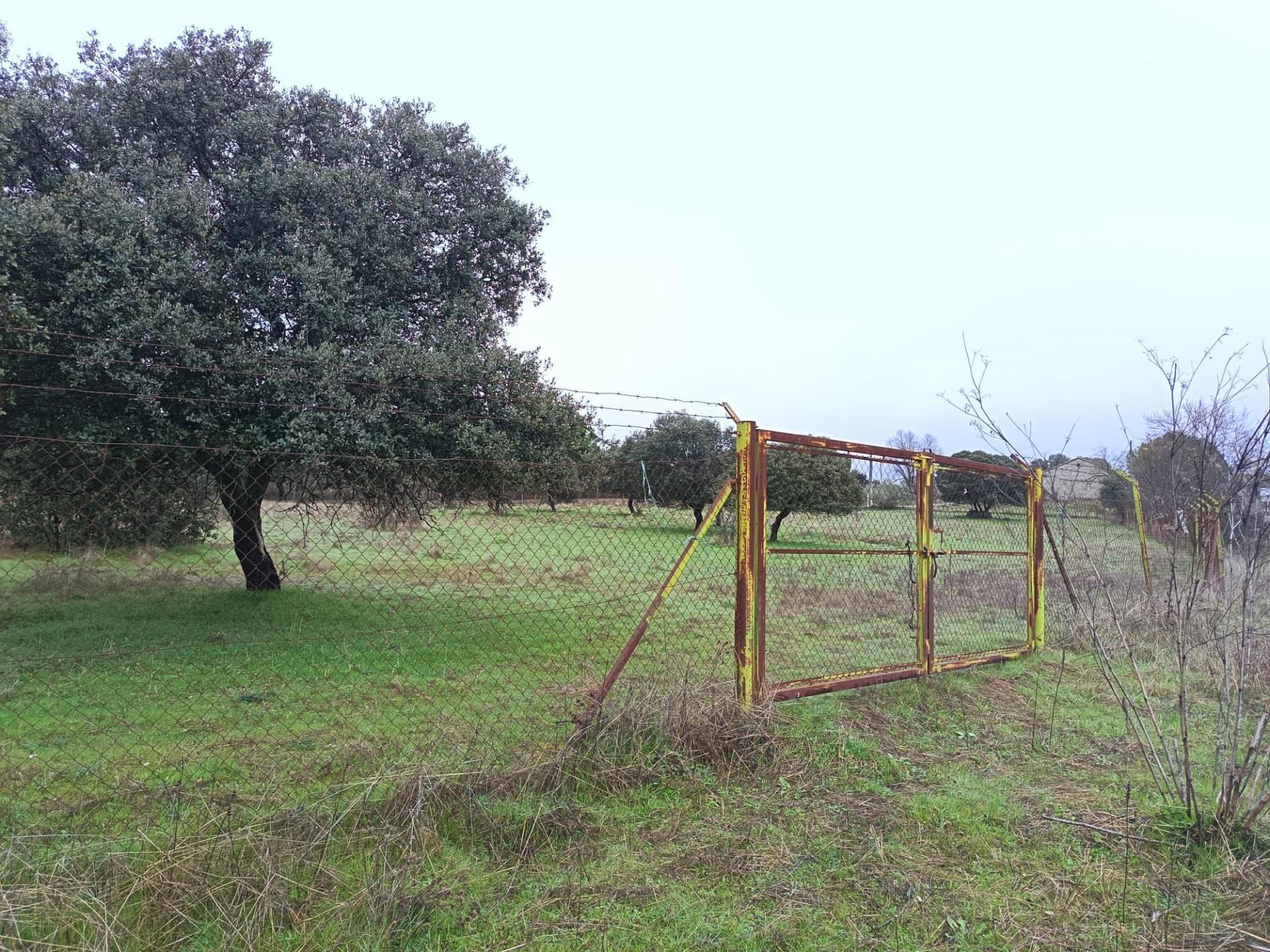 Avenida de Portugal, Marrupe, Toledo for sale Building Photo- Image 1 of 9