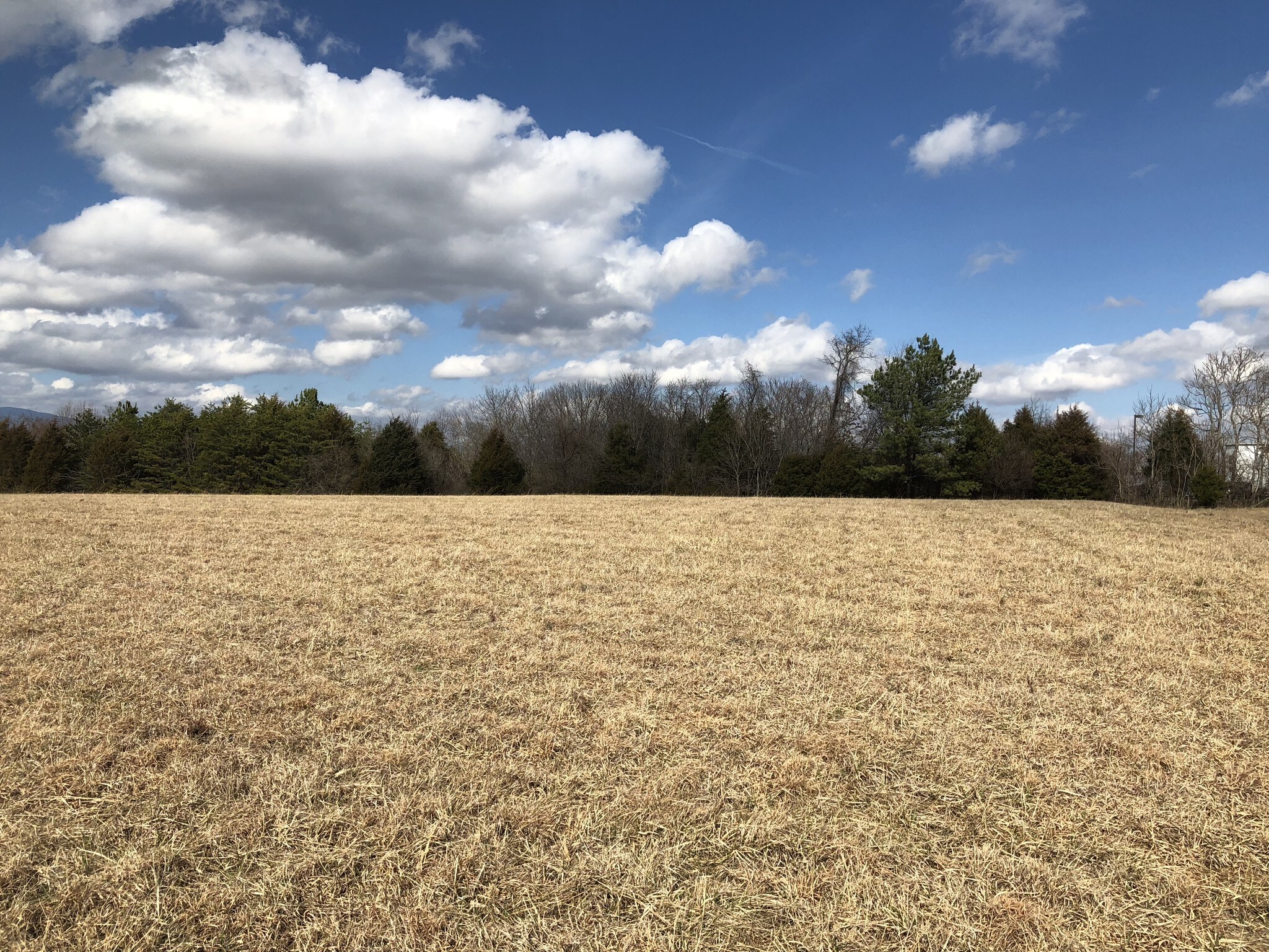 Brockman Park Drive, West & East Commerce St, Amherst, VA for sale Other- Image 1 of 3
