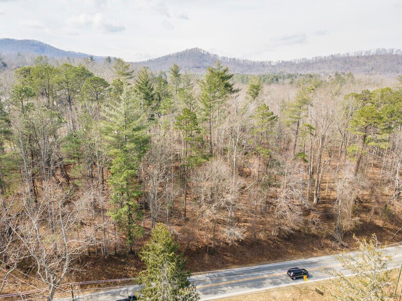 1720 Brevard Rd, Arden, NC à vendre - Aérien - Image 2 de 13