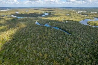 More details for SW Co Rd 761 #A rd, Arcadia, FL - Land for Sale