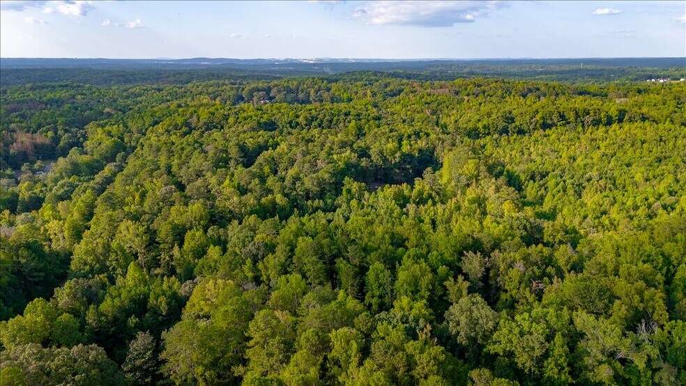 4550 Derrick Rd, College Park, GA à vendre - Aérien - Image 3 de 8