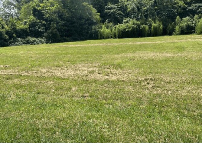 170 S Jeff Davis Dr, Fayetteville, GA à vendre - Photo du bâtiment - Image 3 de 13