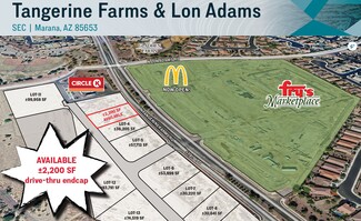 Plus de détails pour SE Tangerine & Lon Adams Rd, Marana, AZ - Local commercial à louer