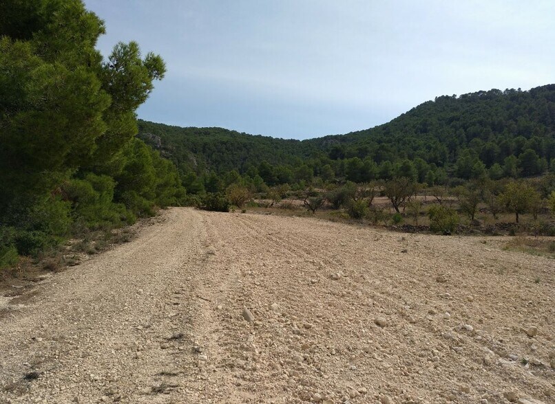 Terrain dans Abanilla, Murcia à vendre - Plan de site - Image 2 de 8
