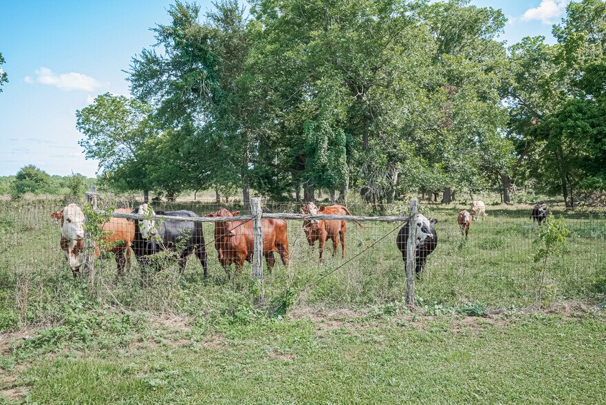 2511 Hartwell Rd, Pattison, TX à vendre - Autre - Image 1 de 7