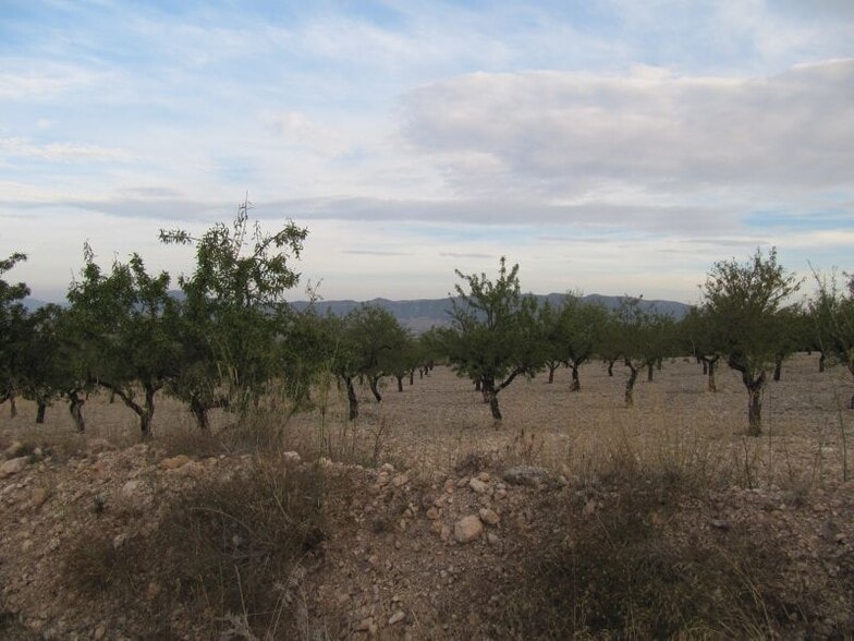 Land in Salinas for sale - Building Photo - Image 1 of 1