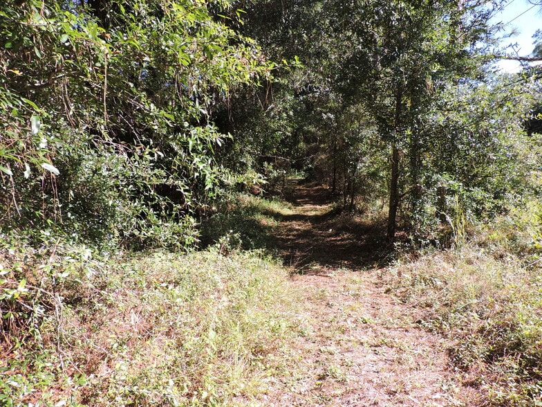 2935 New Berlin Rd, Jacksonville, FL for sale - Building Photo - Image 3 of 77