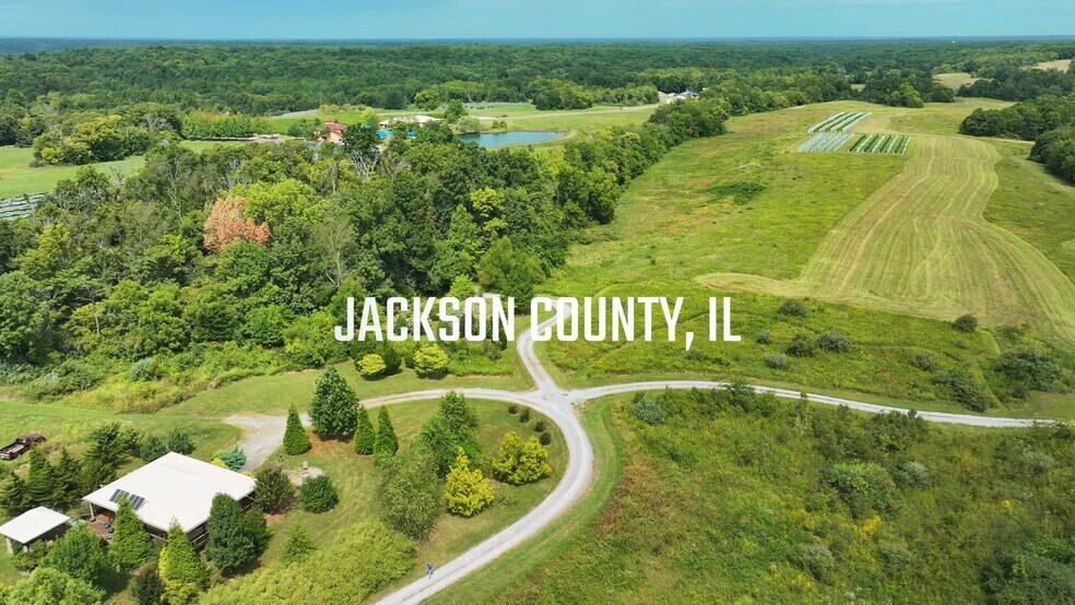 295 Panthers Den Rd, Makanda, IL à vendre - Vidéo sur l’inscription commerciale - Image 2 de 81