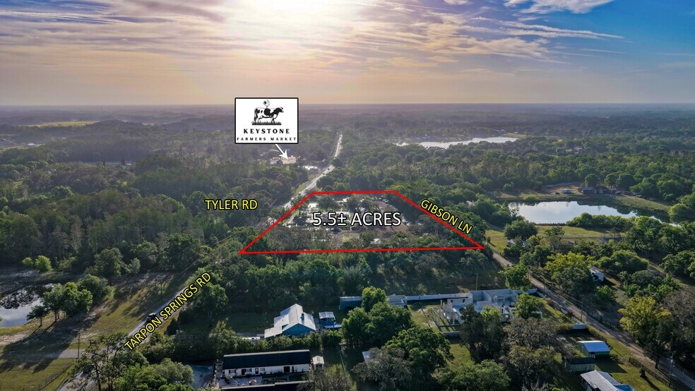 12980 Tarpon Springs Rd, Odessa, FL à vendre - Aérien - Image 2 de 4