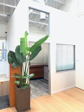 4223 Glencoe Ave, Marina Del Rey, CA for lease Interior Photo- Image 2 of 4