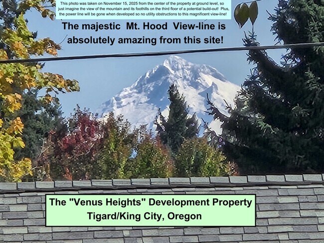 More details for 14187 SW 100th Ave, Tigard, OR - Land for Sale