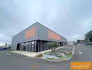 Plus de détails pour 2 Rue Émile Dewoitine, Cornebarrieu - Commerce de détail à louer