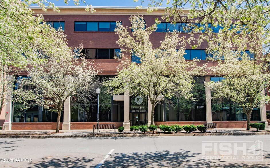 330 Pine St, Williamsport, PA à louer - Photo du bâtiment - Image 3 de 16