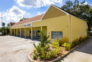 More details for 13106 N Florida Ave, Tampa, FL - Office for Lease